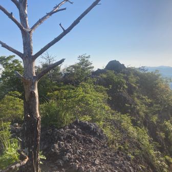 ここの岩はあまり滑りません　もちろん過信はダメですけど