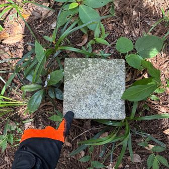 三等三角点タッチ　　水落山