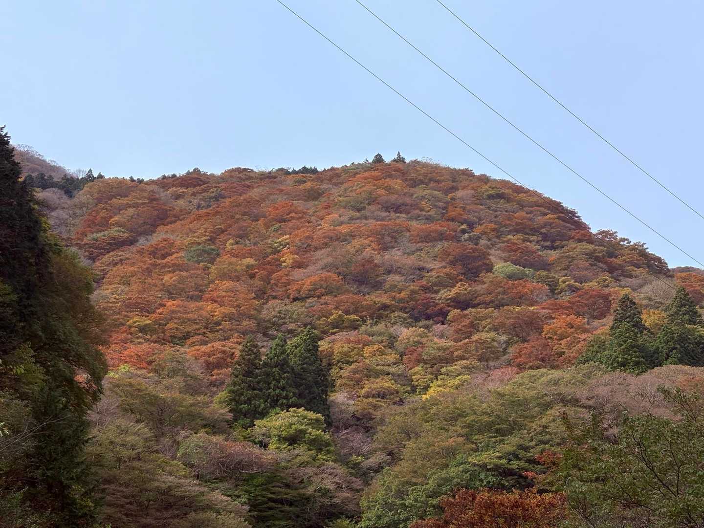 紅葉だけが癒し。
って２年前も思ってたな。