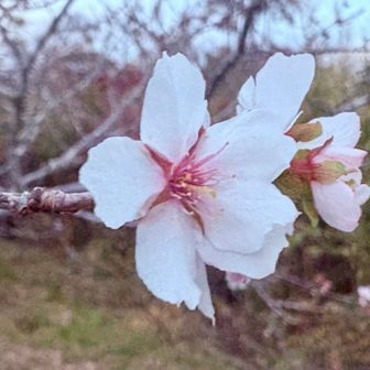 それでは下山します。