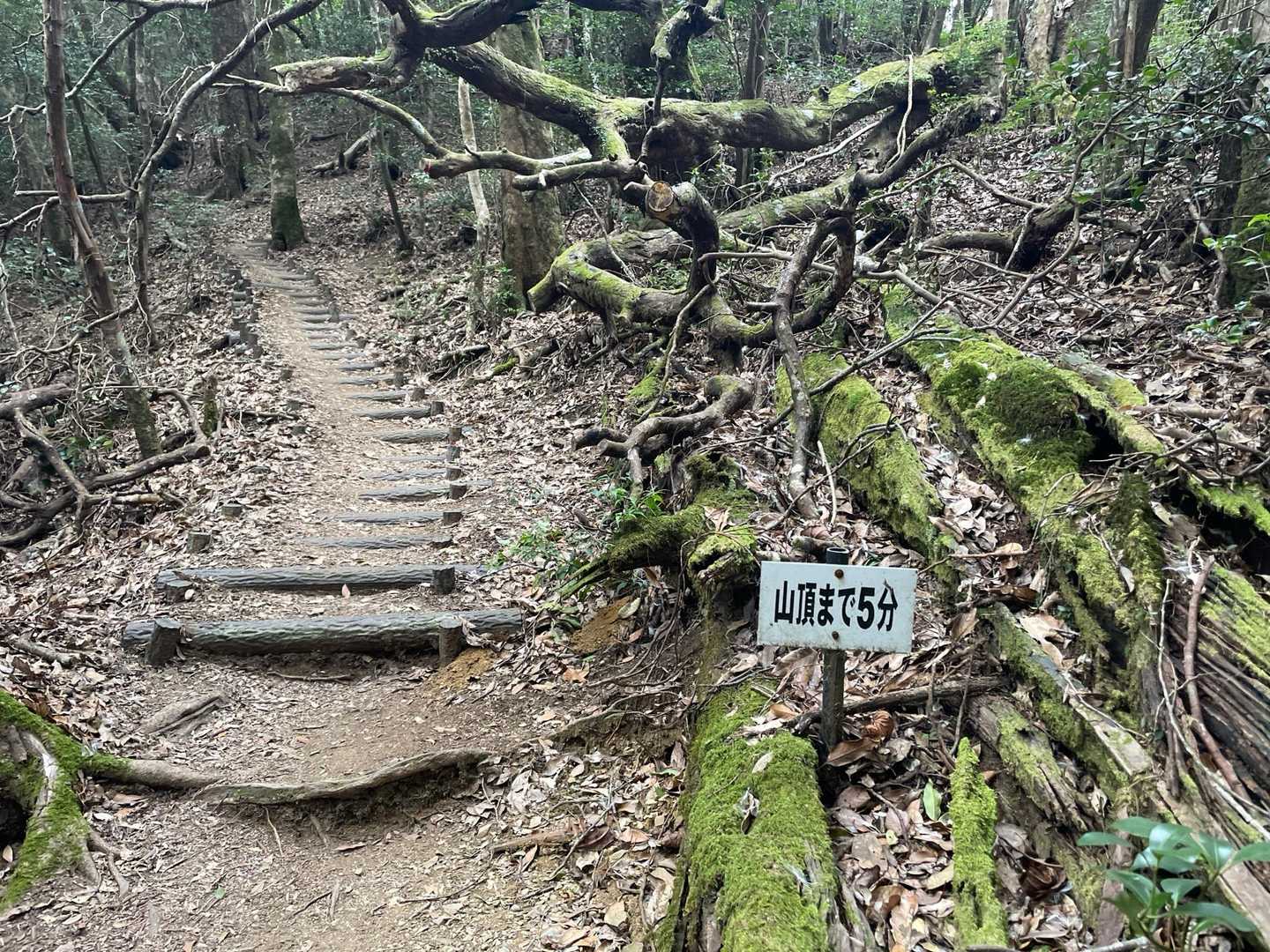 山頂まで5分標識が有難い！