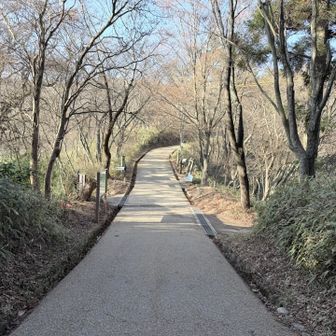 誰もいないのよ。さすが平日。