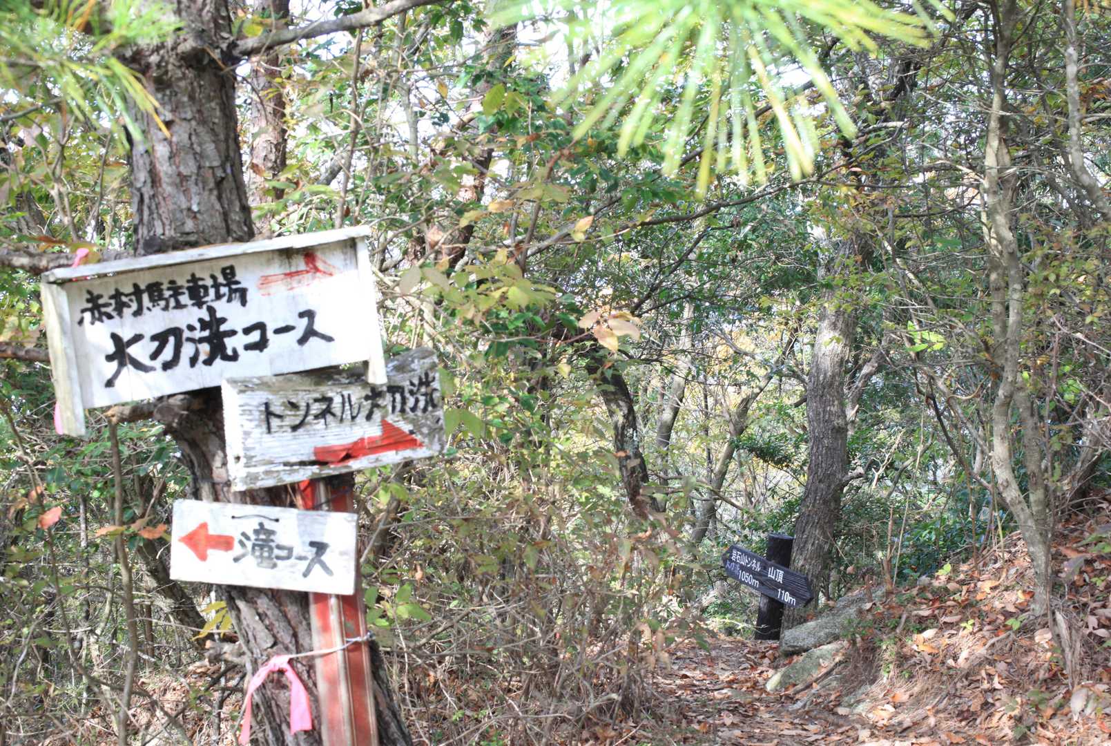 正面ルート登山口-滝ルート登山口-岩石山 周回コースの写真