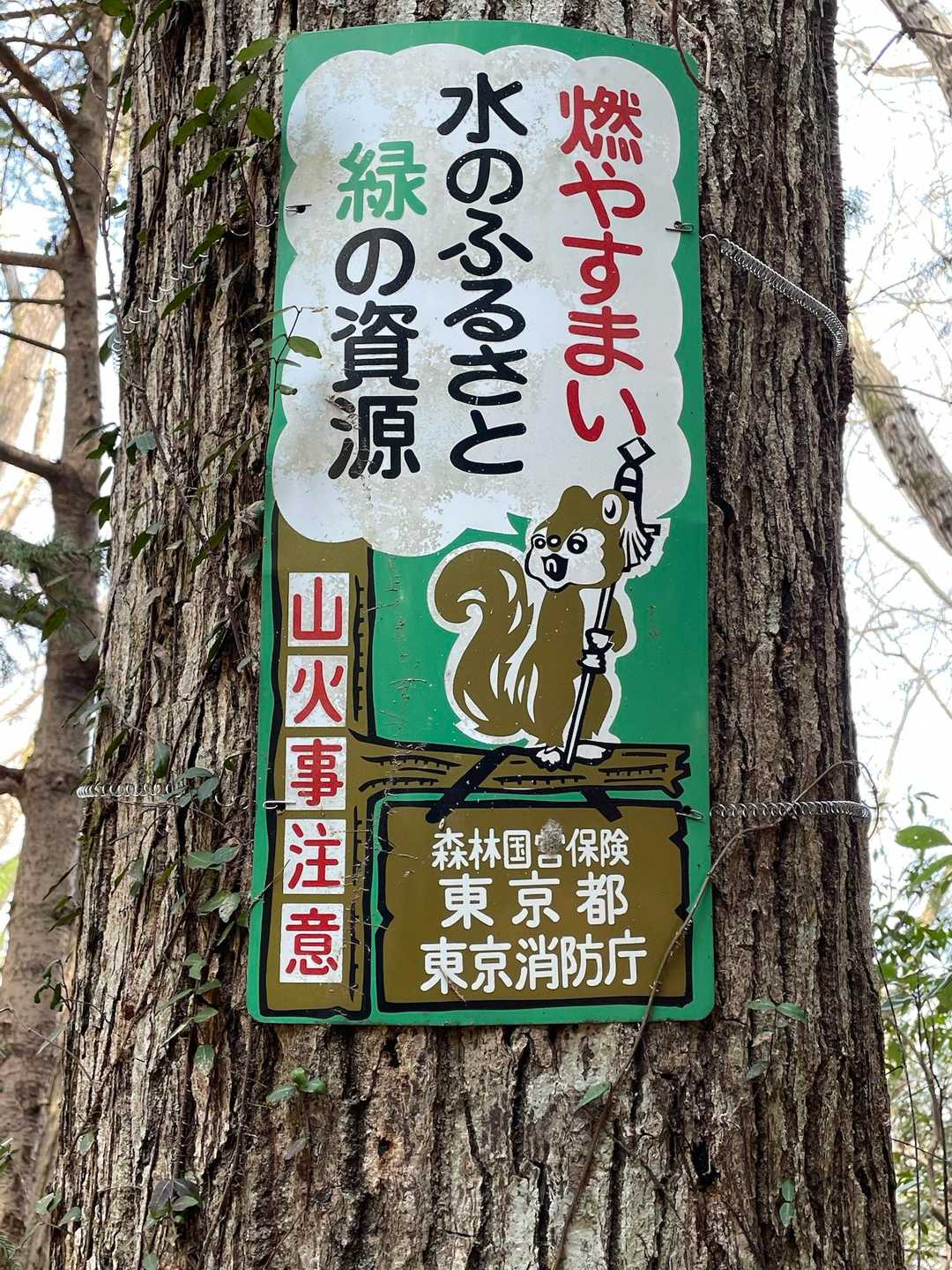 纏リス
最近は、各地で山火事が多発しているので、ホント気をつけないとですね😣