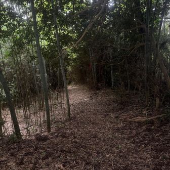 真っ暗　写真よりも暗い。