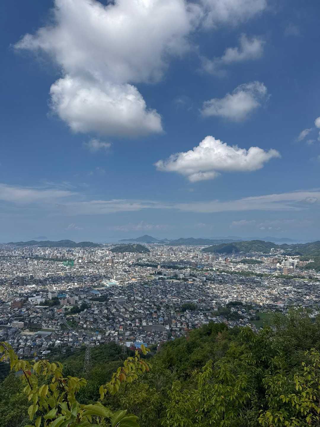 眺めよし