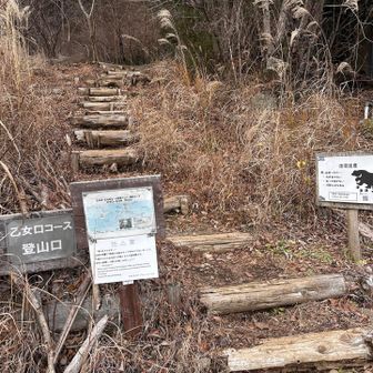 そしてゴールして舗装道路へ
これは振り返って撮りました