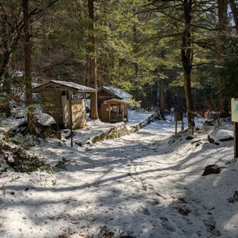 帰って来ました。