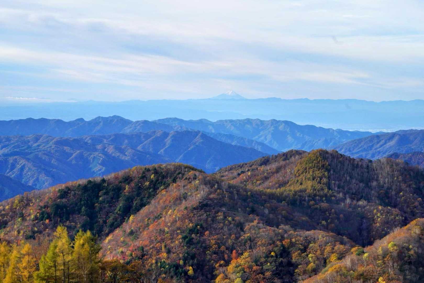 🗻と🍁