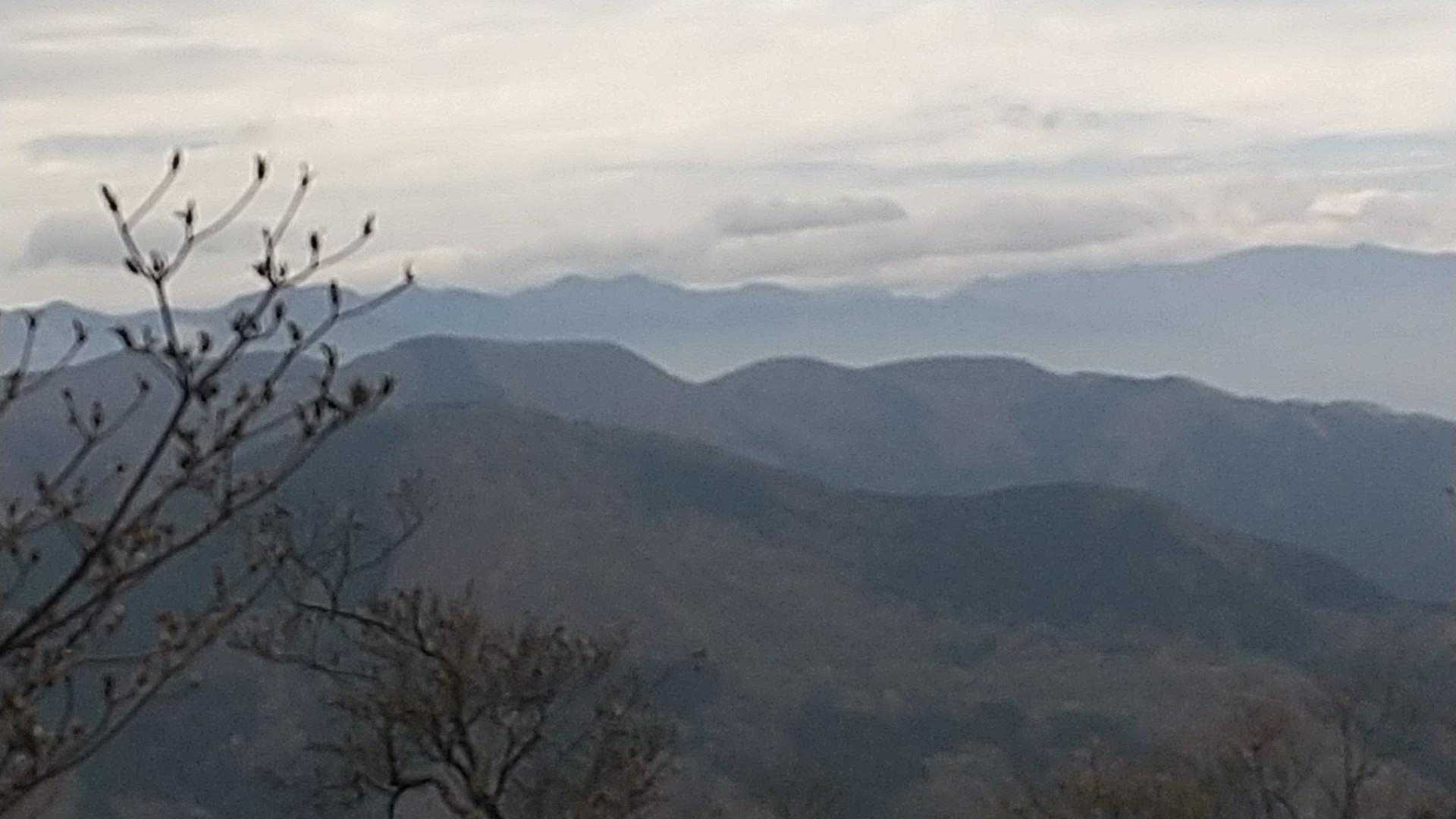 山頂から
