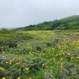 青空欲しい
贅沢か　
雨☔降らないだけでも、良しとしよう👍