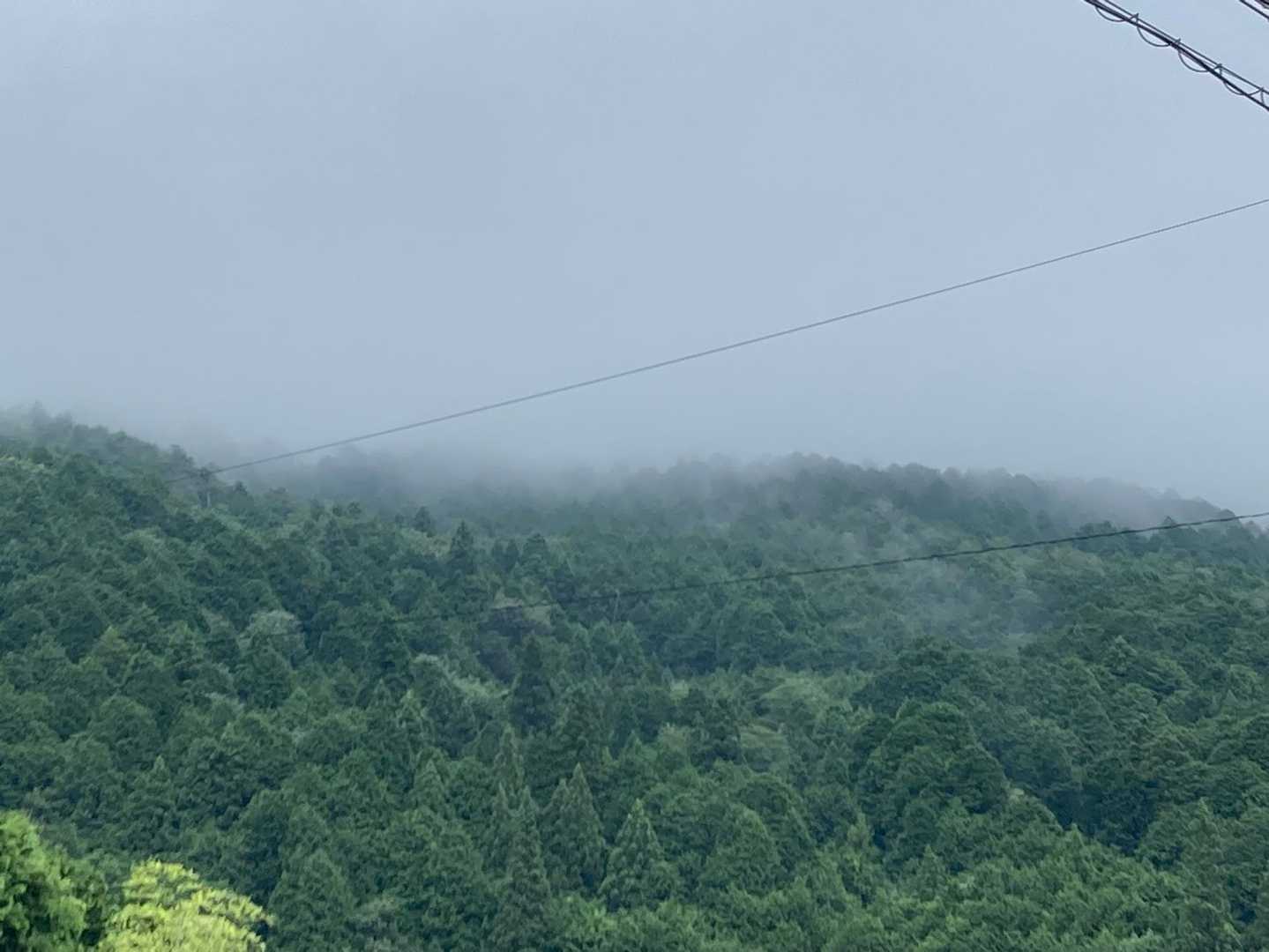 下山後の山頂付近は真っ白け🥲