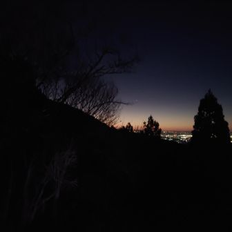 天気は期待できそう