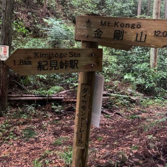 紀見峠登山口