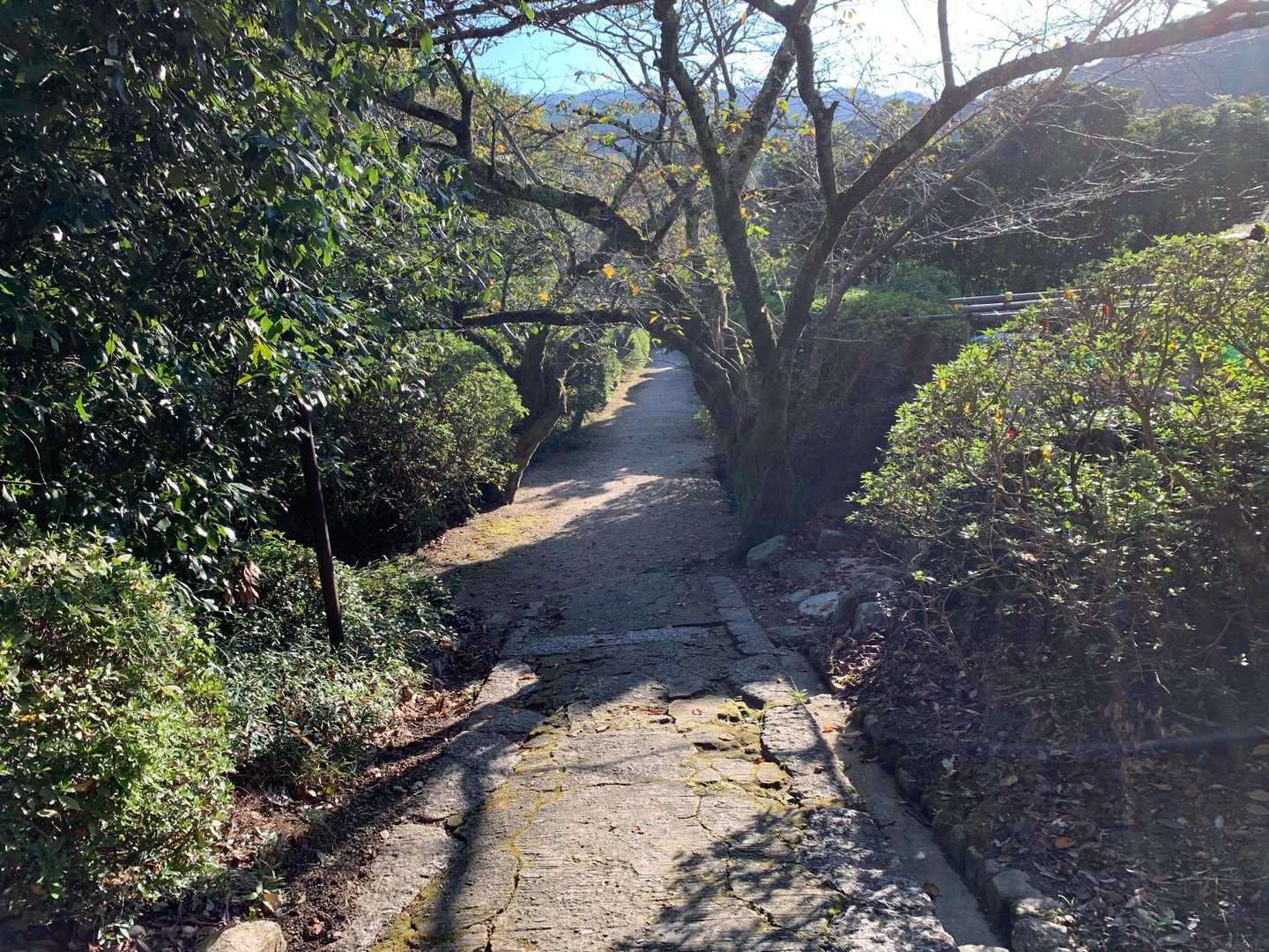 龍王山 周回コースの写真