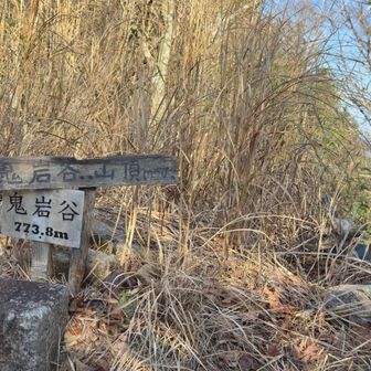ショウケ超から登り上がって
　鬼岩谷👹　773.8m
