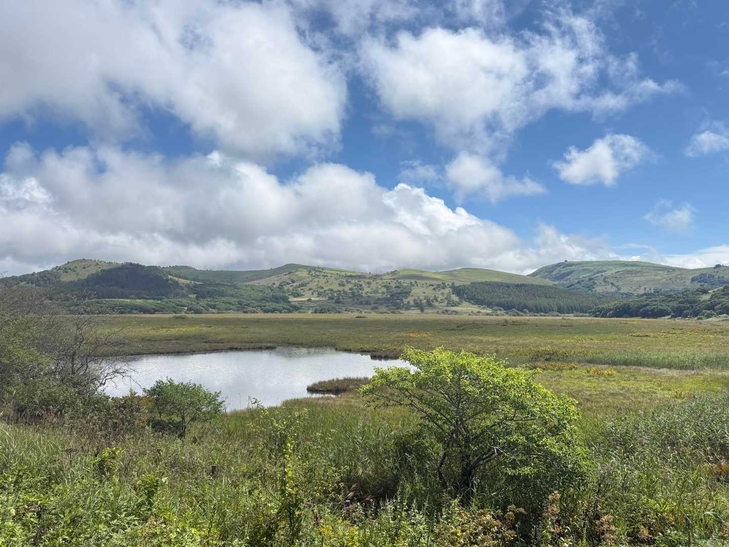 八島湿原バス停-八島湿原入口-霧ヶ峰湿原植物群落-男女倉山 周回コースの写真
