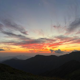 夕日沈んじゃった