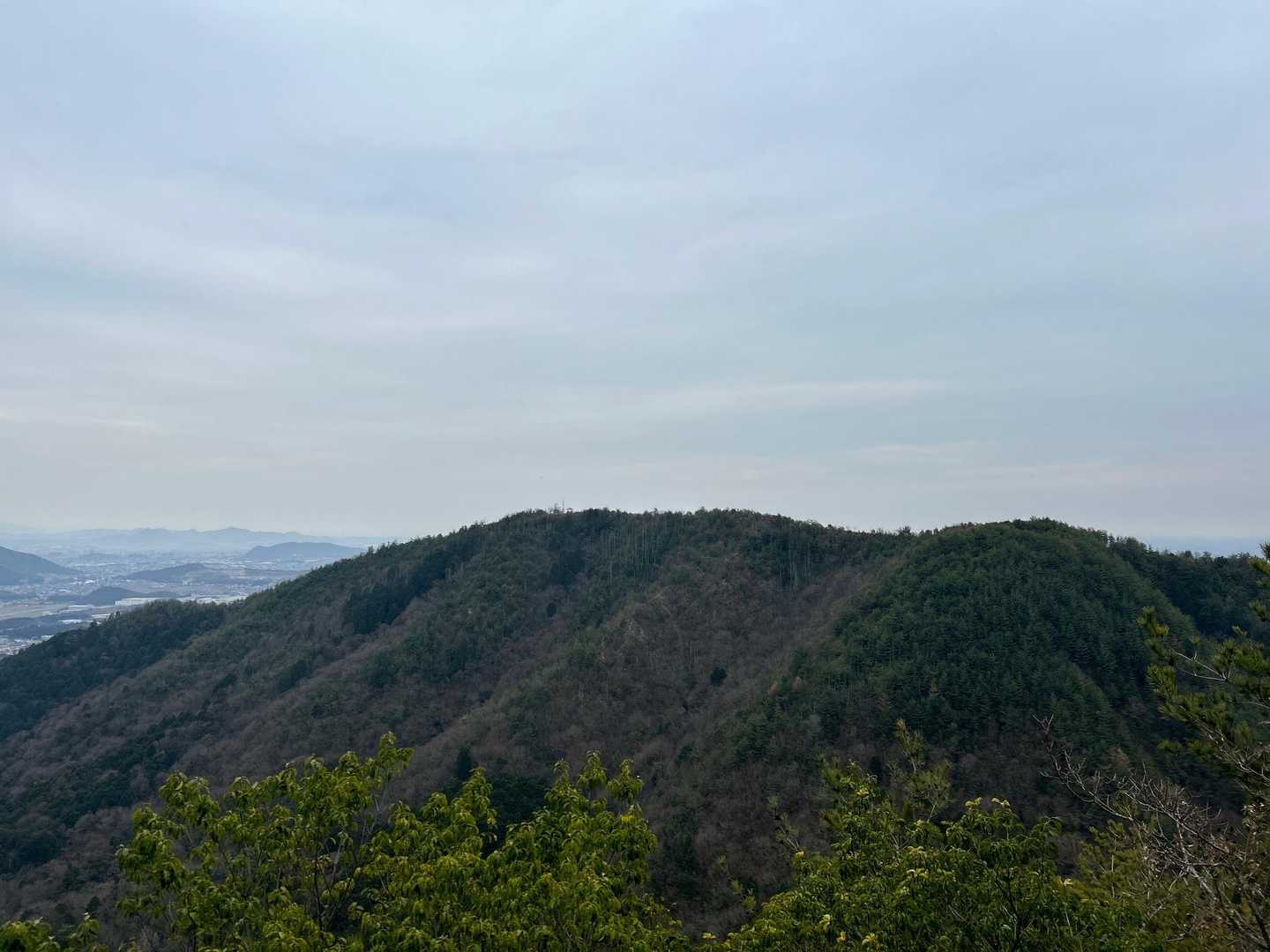 最後に行く各務原権現山⛰️