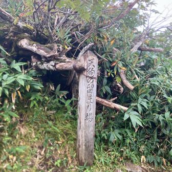 天狗の留まり場。