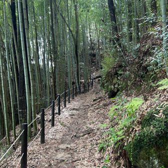 登山道も整備されていますので
下りやすい☺️