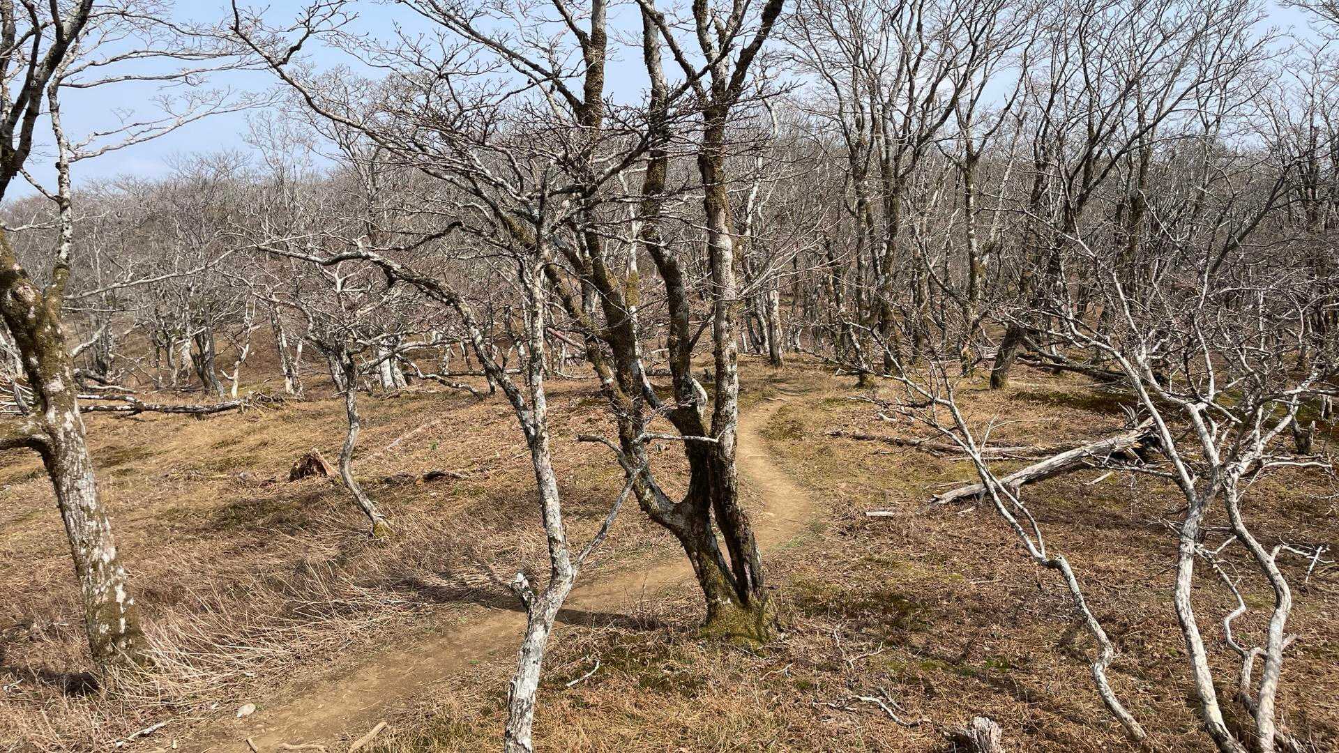 天狗岩で休んでから帰り道みおミンさんのヤマトモさんにばったり😊