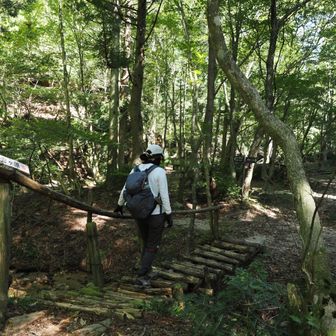 ギシギシ揺れる橋。躊躇いなく進むねえさん。