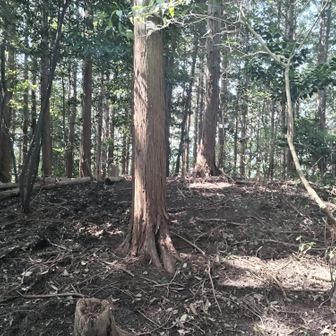 白山の山頂付近