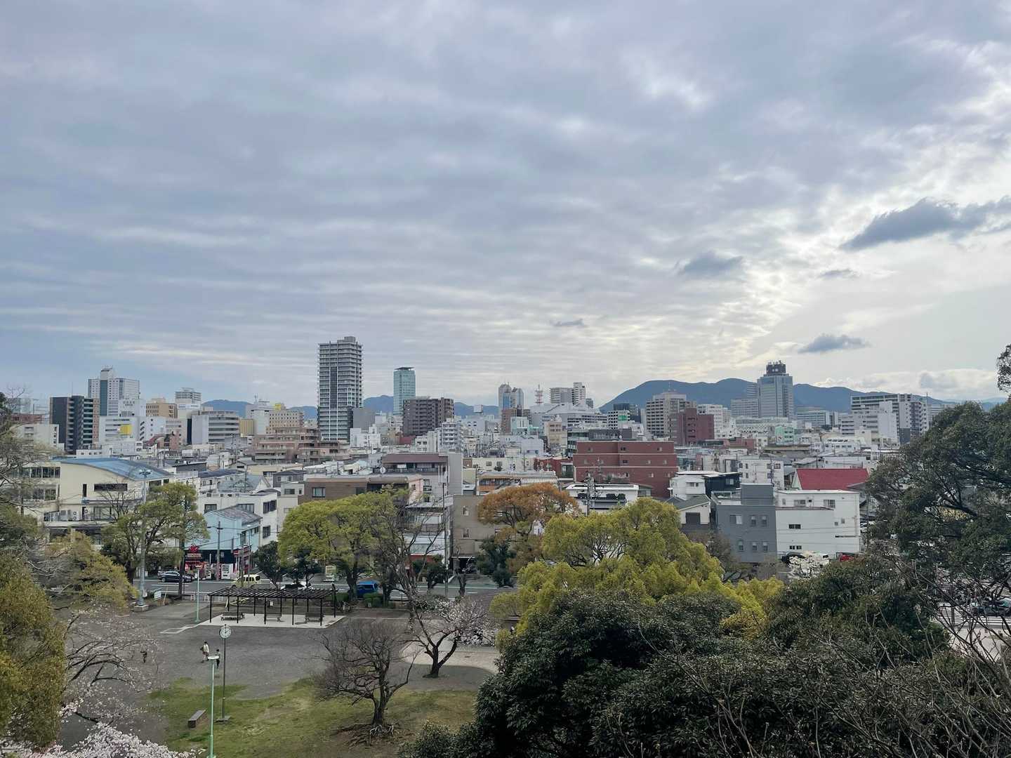谷津山 周回コースの写真