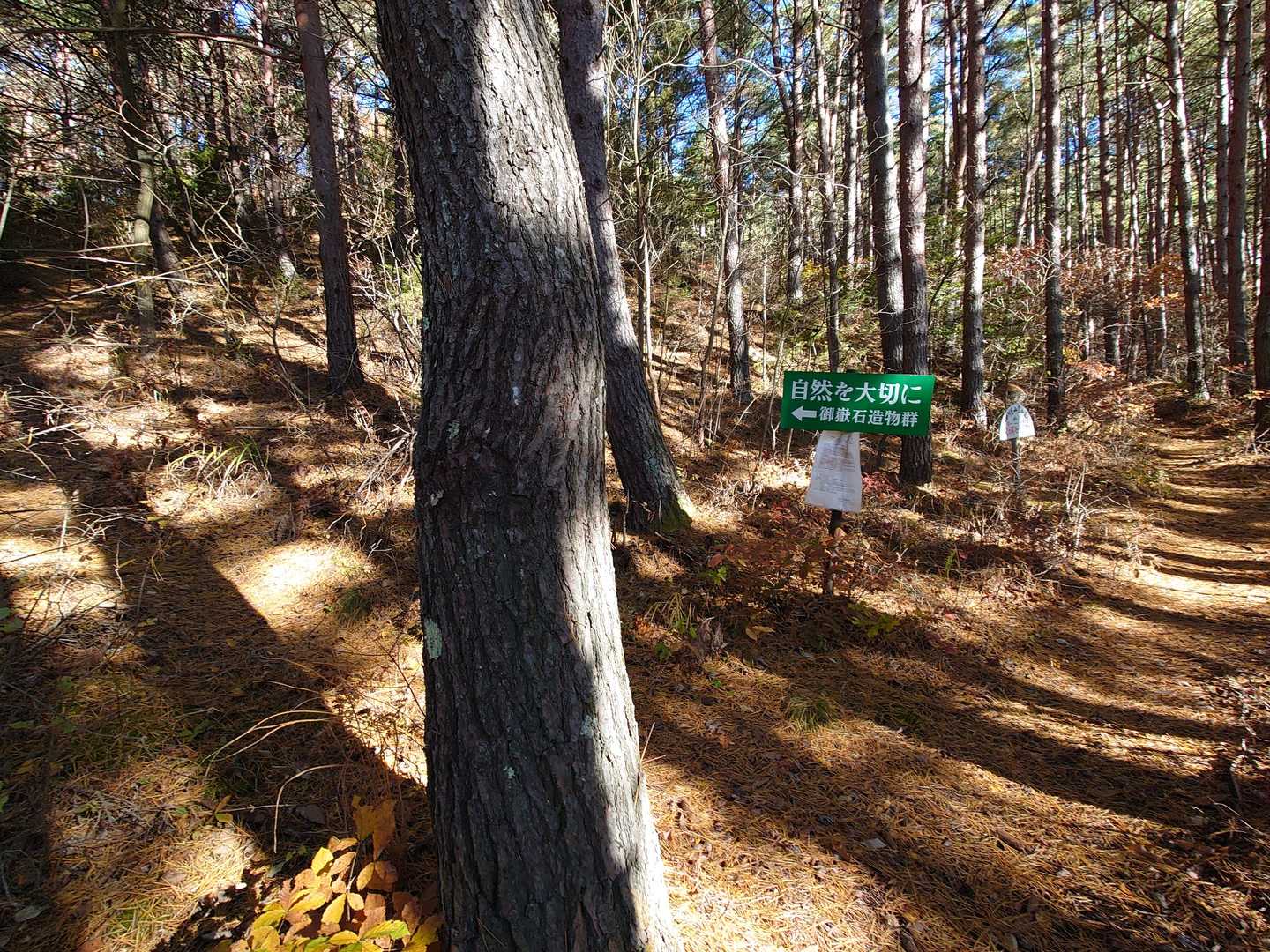 緑の標識に案内され御嶽山へ登ってみます。