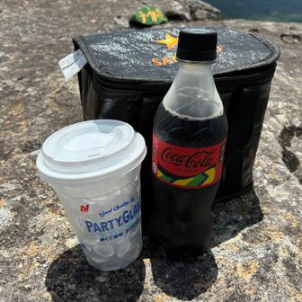 今日はパーティグラスでコーラをいただきます^_^
夏はこれいいよね👍