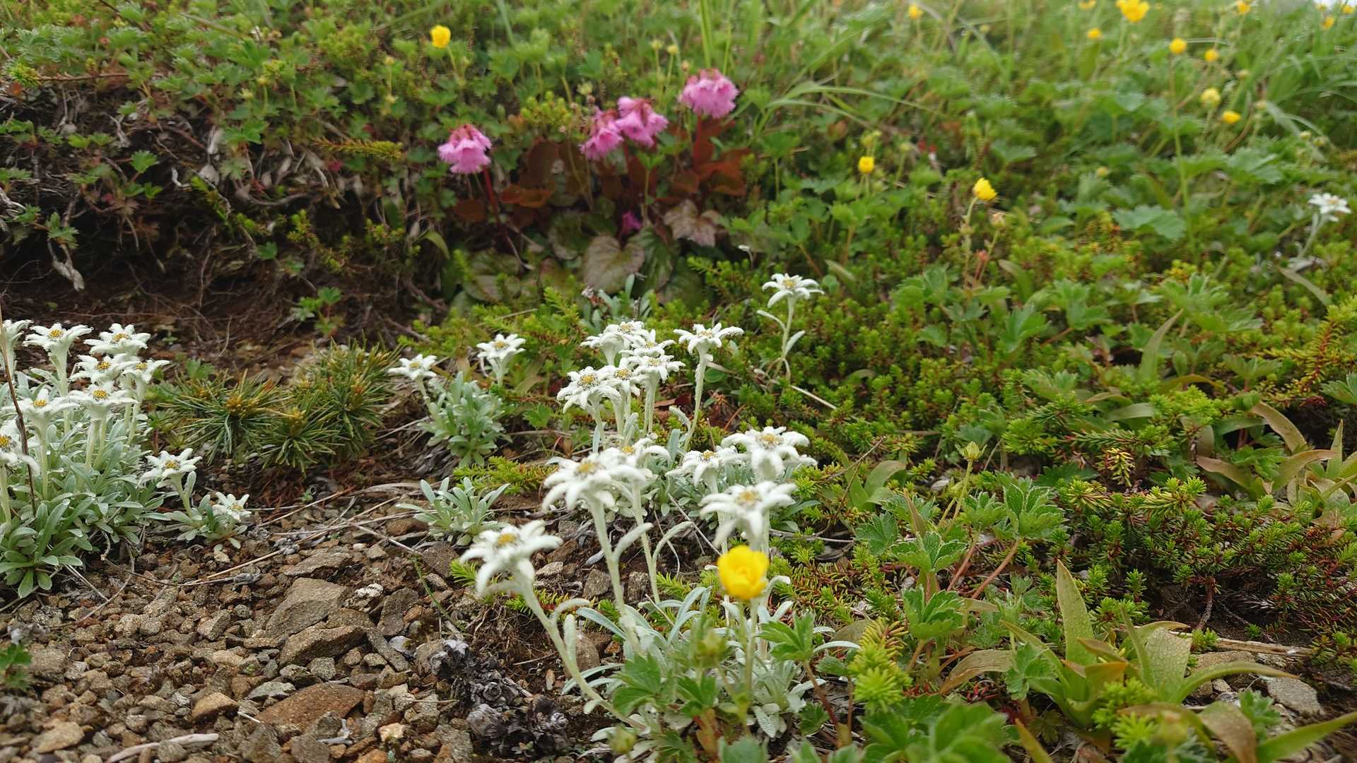 北寒江山の写真