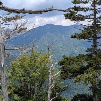 南峰は東側北側の眺め良し。テカリ岩、よく見えてます。

南側がよく見えず、黒法師岳のトンガリを確認できなかったのが残念。