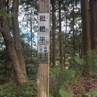 ココまでこんなにしんどかったっけ❓