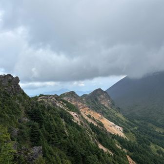 振り返る