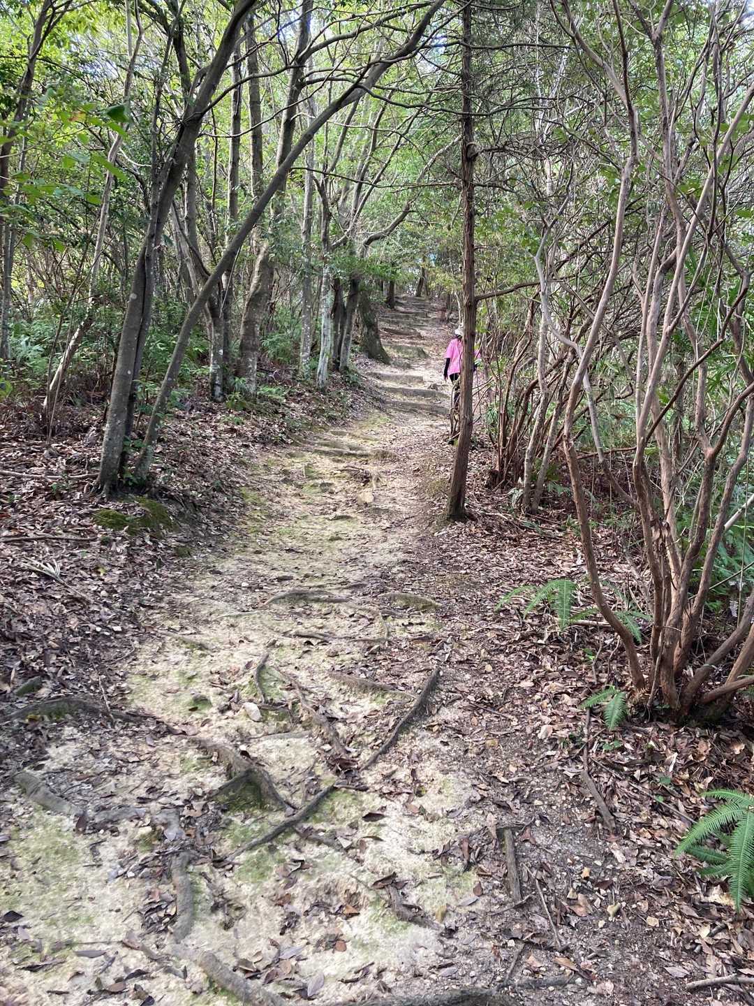 二子山登山口-善光寺山 往復コースの写真