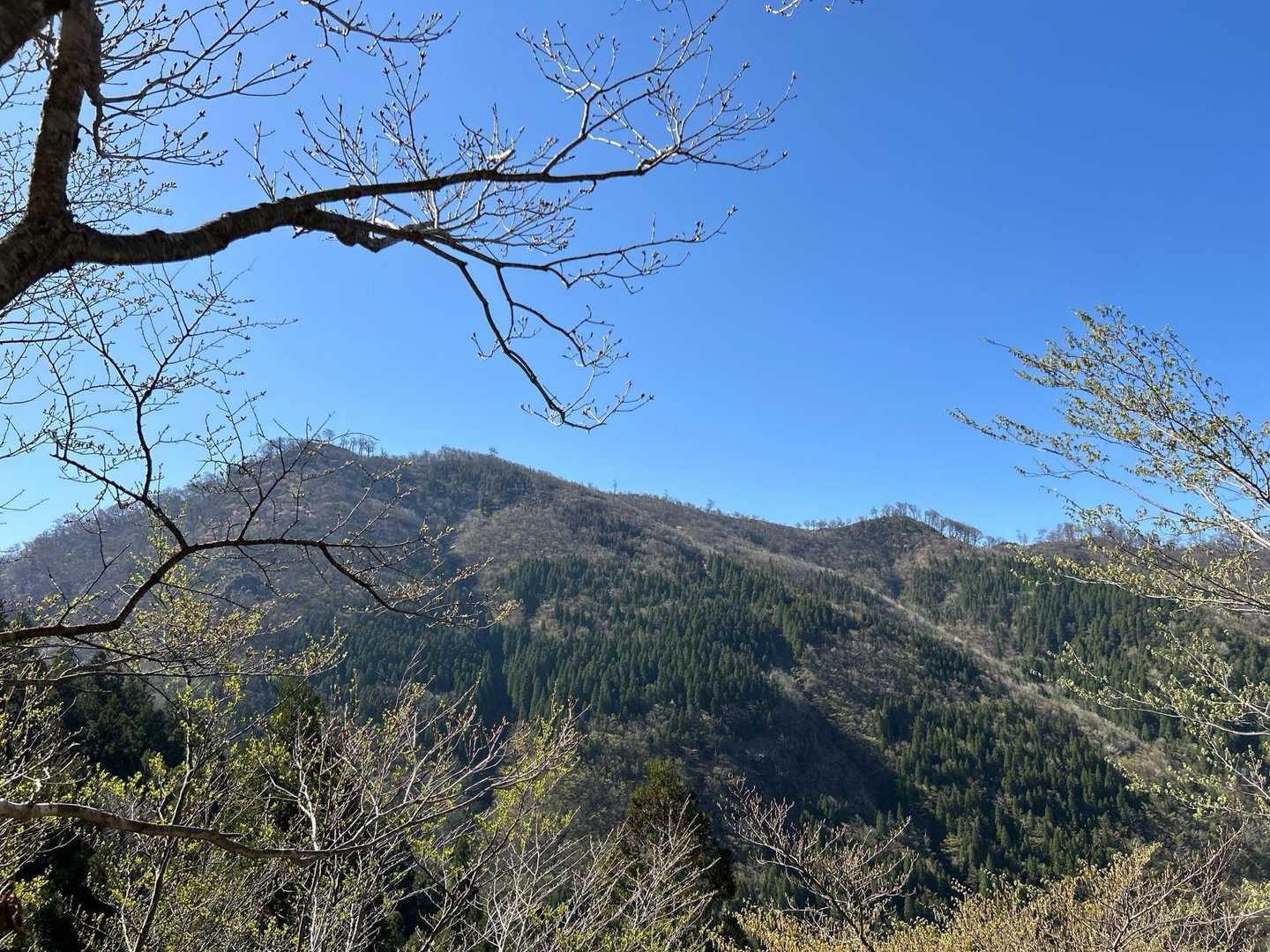 右奥が釣鐘山