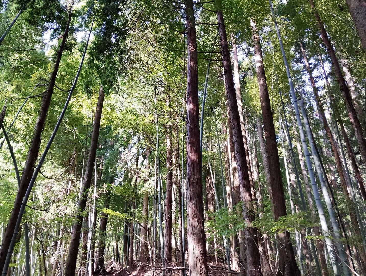 🌿癒やされる🍀