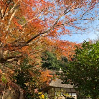 日本って本当に美しい