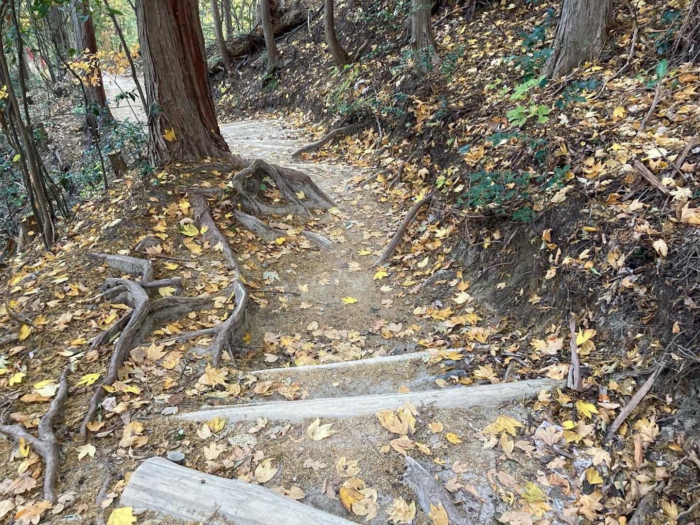 猿投山（表参道コース）の写真