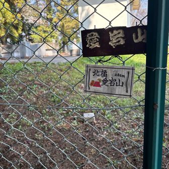 愛宕山、山頂見つけにくい