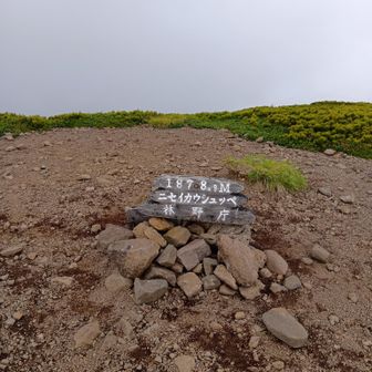 山頂着いた~😁