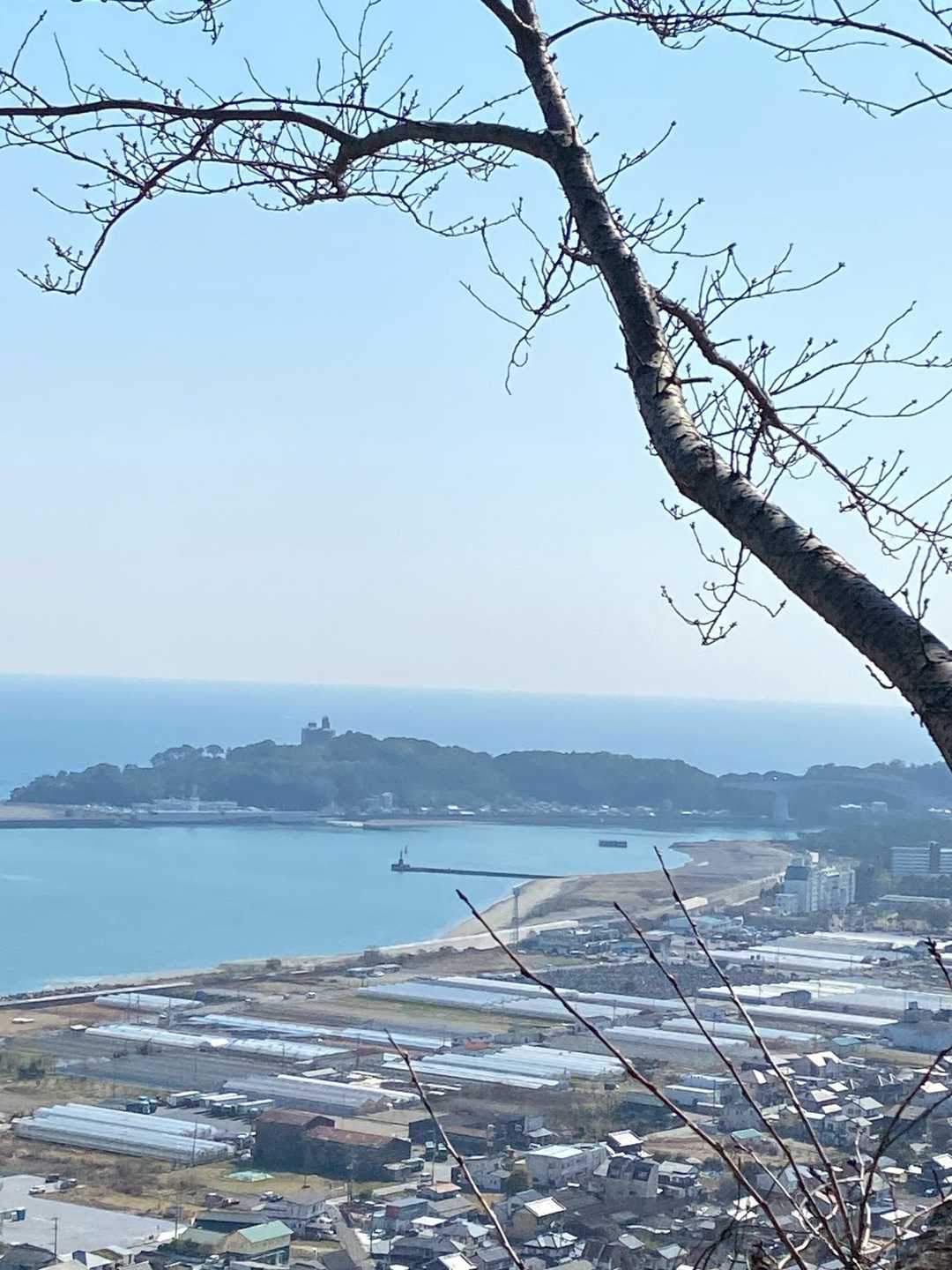 大平山登り口-大平山 往復コースの写真