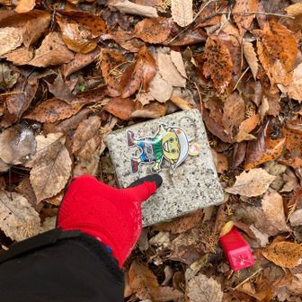 一応パシャ📷✨