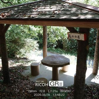 亀の小屋。