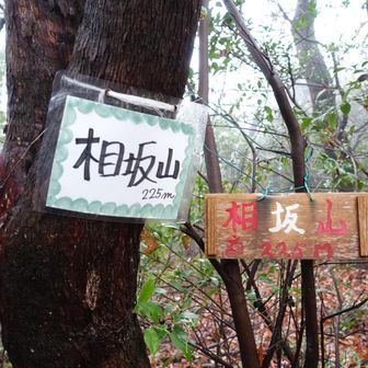ここにも女王様の山名プレート✨