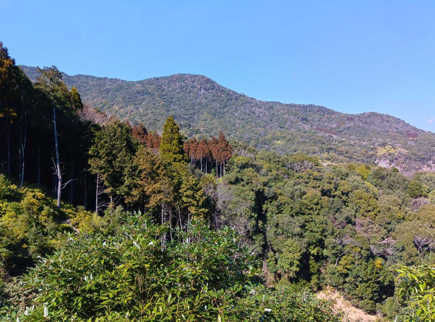 ひべら山-可愛岳-烏帽子岳 周回コースの写真