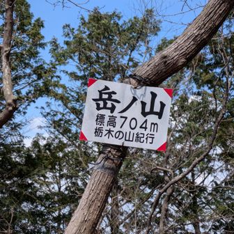 大鳥屋山より高いよ
麓からもこっちの方が目立っている気がするが、栃百ではない