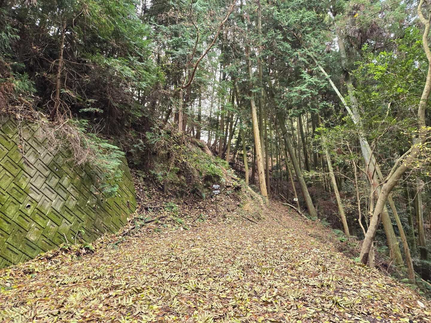 角尾山の登山道に到着
