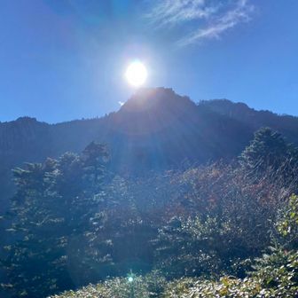 世界のヤマさん